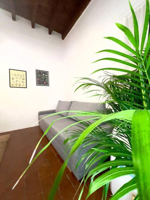 Apartamento Casa Centro Firenze Wi Fi Aria Condizionata Netflix Exterior foto